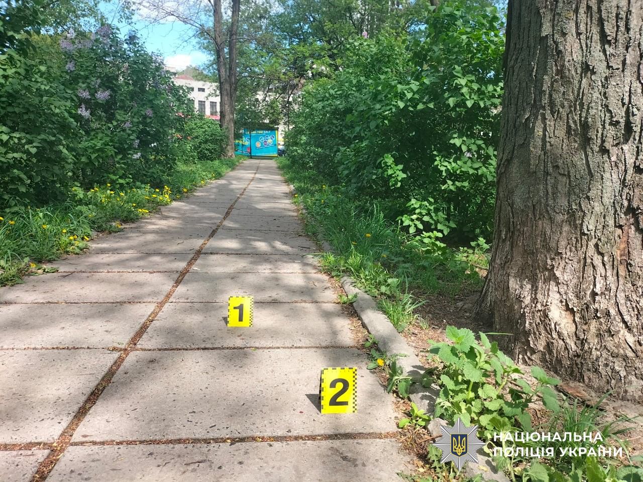  7 років за грабіж літньої жінки у парку 