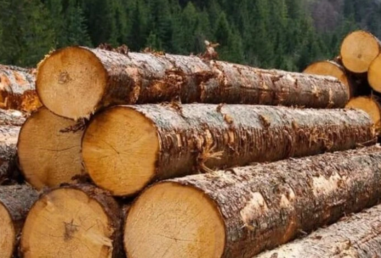  Обсяги лісозаготівлі у Росії торік упали на 10% - розвідка 