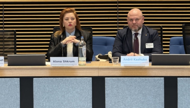  У Брюсселі презентували проєкт публічно-приватного партнерства у порту Чорноморськ 