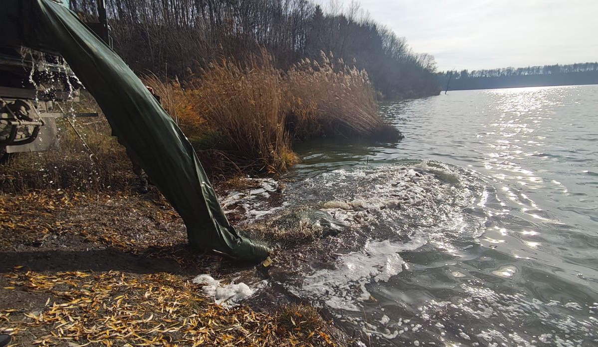  До водойм у чотирьох регіонах вселили понад 140 000 рибин 