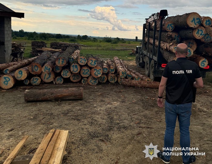  На Львівщині викрито масштабну схему незаконної порубки лісу: збитки – майже ₴9 млн 