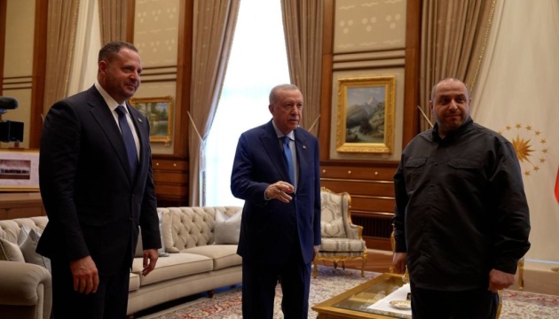  Перед переговорами у Стамбулі українська делегація зустрілась з Ердоганом 