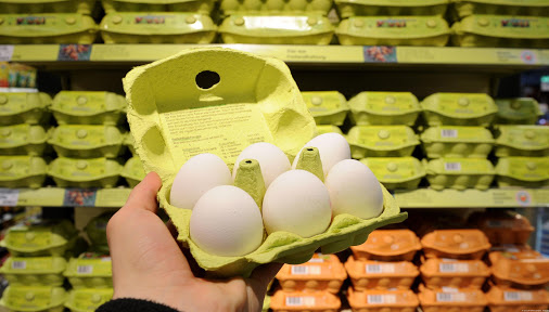  В України знижуються ціни на курячі яйця 