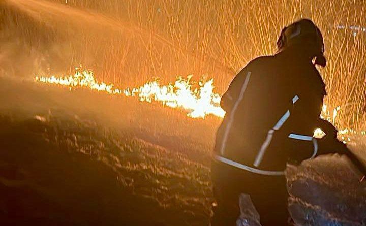  Осокорківські луки у вогні: рятувальники гасять пожежу 