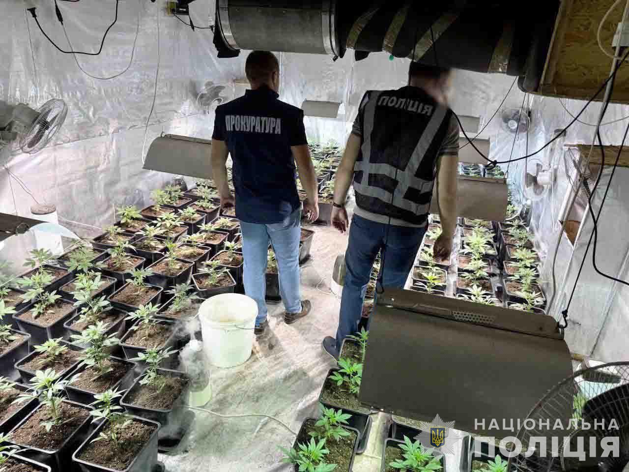  Збували канабіс на 2 млн грн щомісяця: на Львівщині судитимуть членів злочинної організації 