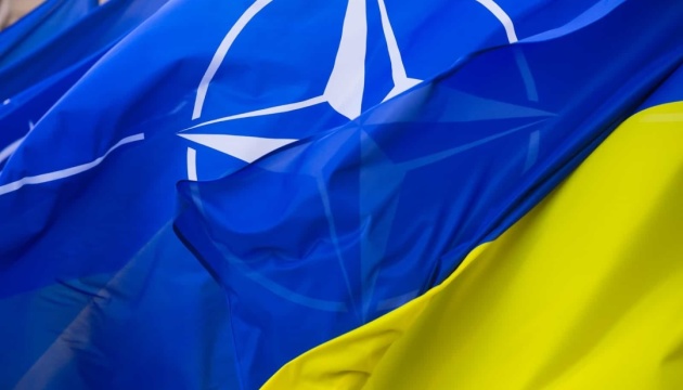  Інформація, що сім країн проти запрошення України до НАТО, не відповідає дійсності - речник Президента 