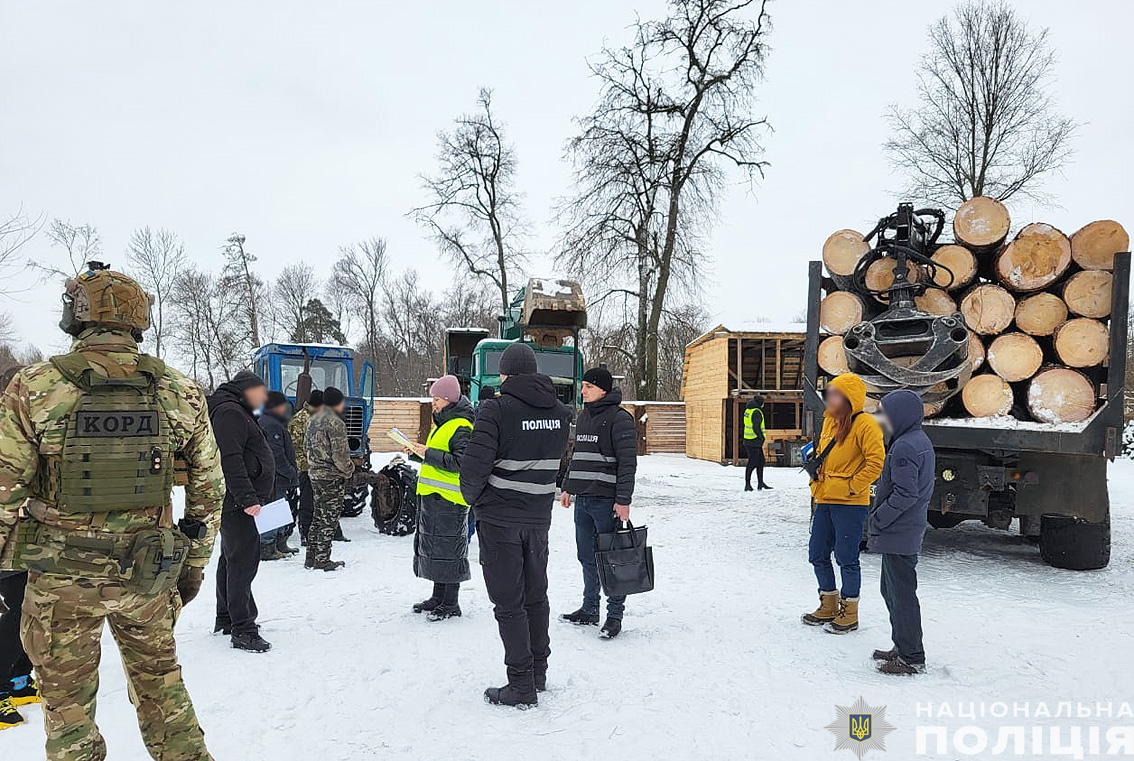  Поліція Чернігівщини викрила злочинну групу «чорних» лісорубів у масштабних порубках деревини на десятки мільйонів гривень 