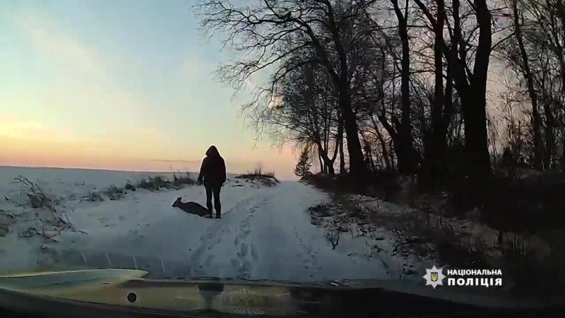  На Рівненщині поліцейська офіцерка громади разом із небайдужим чоловіком врятували косулю 