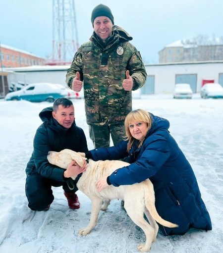  Чернігівські поліцейські прихистили загубленого лабрадора Боню та повернули його господарю 
