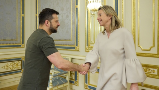  Зеленський зустрівся з главою міноборони Нідерландів 
