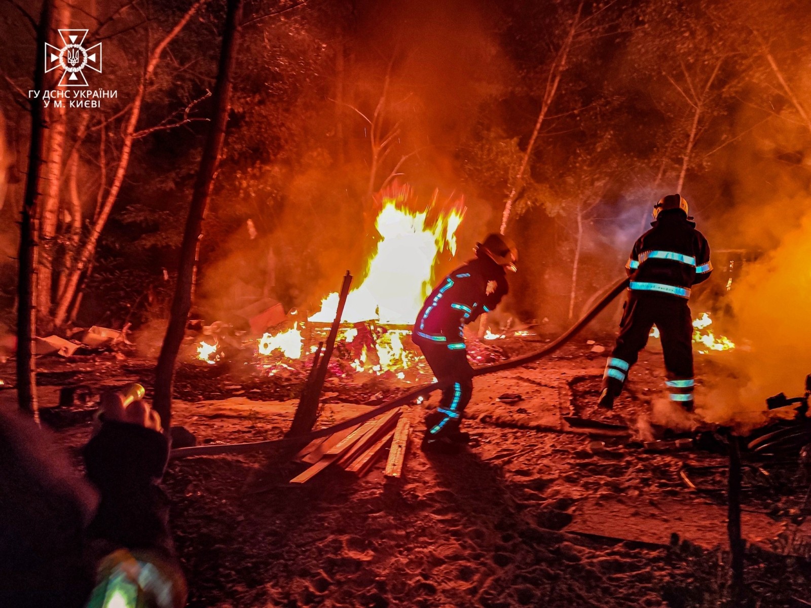  За фактом пожежі у лісопарковій зоні Дніпровського району розпочато два кримінальних провадження 