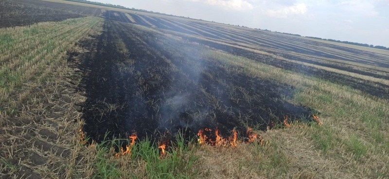  Кинув непогашений недопалок у стерню: поліцейські повідомили жителю Білгород-Дністровського району про підозру у знищенні вогнем двох гектарів земельних угідь 