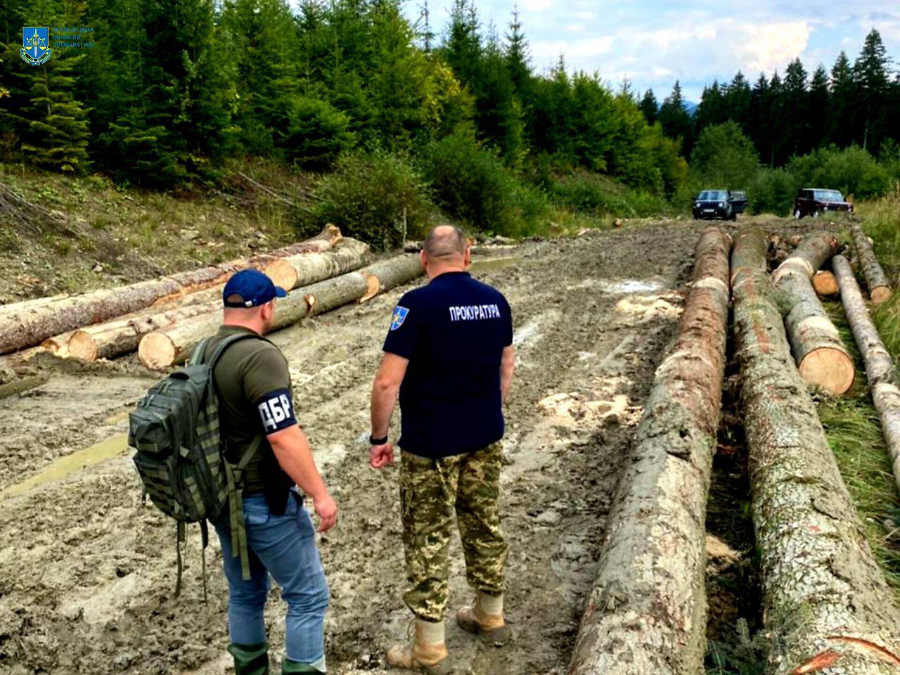  Незаконні рубки лісу зі збитками у понад 2 млн грн – на Буковині викрито злочинну групу лісників 