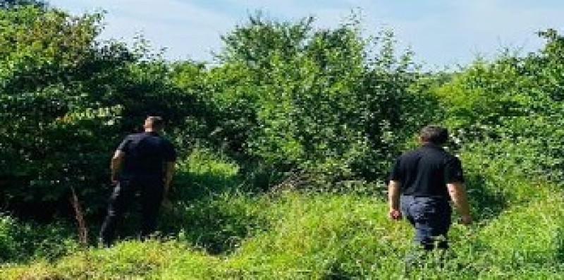  Поліцейські Прикарпаття встановлюють місце перебування 61-річної жінки 