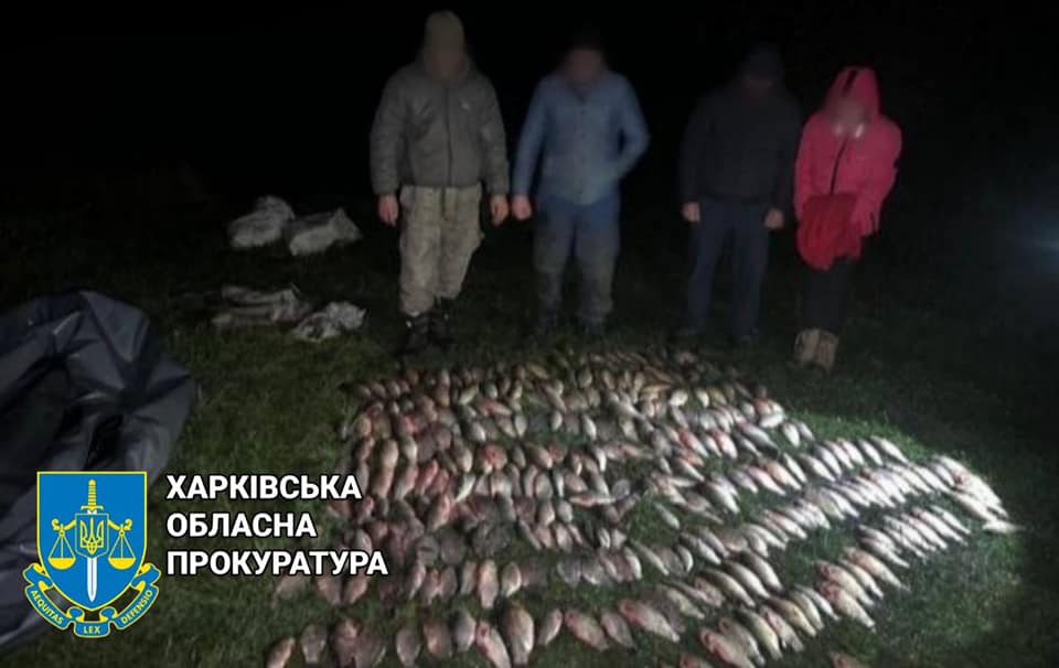  Засуджено браконьєра, який незаконно виловив риби суму понад пів мільйона гривень 