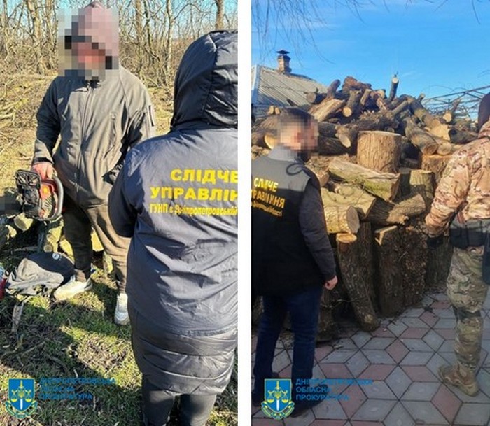  На Дніпропетровщині учасники організованої групи незаконно нарубали лісу на ₴2 млн 