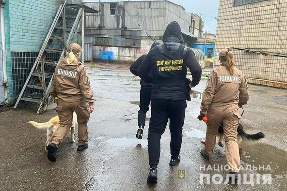  Виготовляв канабіс у промислових масштабах – поліцейські вилучили у киянина «товар» на понад 20 мільйонів гривень 