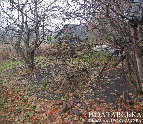  Жителю Миргородського району повідомлено про підозру в умисному вбивстві матері  