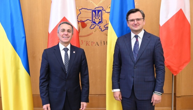 Швейцария стремится содействовать мирному урегулированию на востоке Украины 