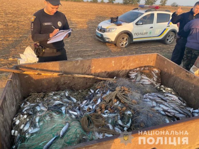  В Одесской области задержали двух браконьеров, наловивших кефали на миллион гривень 