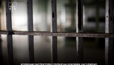 Колишню інспекторку поліції на Буковині засуджено до 5 років ув’язнення за смертельну ДТП