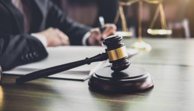 Скинув зі сходів собаку, а потім бив її ногами на очах дітей: у Києві судитимуть вбивцю безпритульного пса