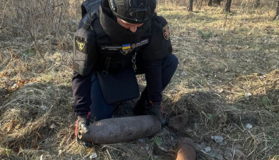 У Києві в лісі знайшли артилерійські снаряди
