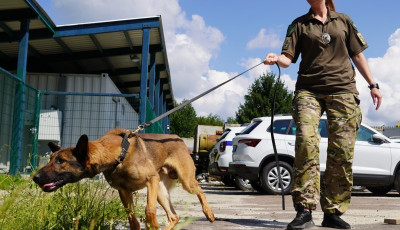 До кінологічних центрів Національної поліції України прибули службові собаки з Європи