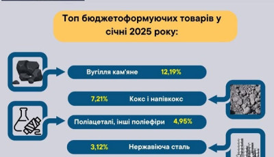 Дніпровська митниця: основні бюджетоформуючі товари
