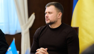 Калашник на слуханнях щодо законодавчого контролю рішень органів самоврядування