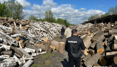 Перед судом постануть учасники трьох організованих злочинних груп, які розікрали на закупівлі деревини для ЗСУ та «відмили» понад 15 млн грн, — Нацполіція