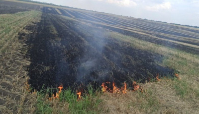 Кинув непогашений недопалок у стерню: поліцейські повідомили жителю Білгород-Дністровського району про підозру у знищенні вогнем двох гектарів земельних угідь