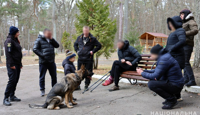 На Житомирщині поліцейські психологи залучають до відновлення поранених захисників собак-терапевтів