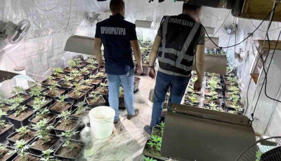 Збували канабіс на 2 млн грн щомісяця: на Львівщині судитимуть членів злочинної організації