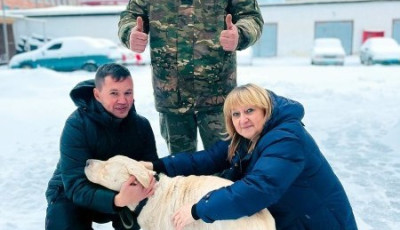 Чернігівські поліцейські прихистили загубленого лабрадора Боню та повернули його господарю