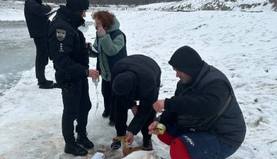У Києві біля озера Синє невідомі постріляли собак