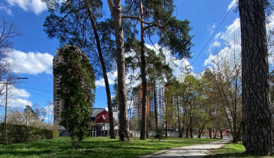 Парк на Берестейському проспекті у Києві зроблять зручним для маломобільних груп населення