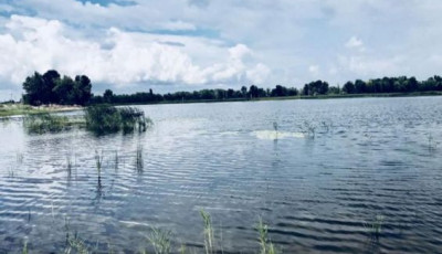 На Львівщині завдяки прокурорам землі водного фонду вартістю майже 2 млрд грн повернуто громаді