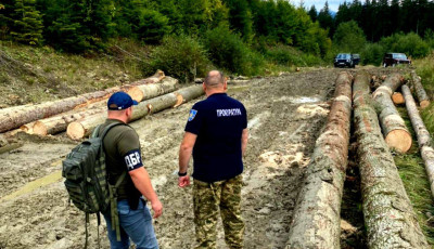 Незаконні рубки лісу зі збитками у понад 2 млн грн – на Буковині викрито злочинну групу лісників