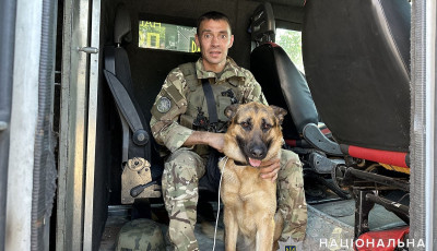 «Білі янголи» вивезли із зони бойових дій німецьку вівчарку, яку залишили господарі