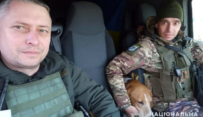 Поліцейські та волонтери рятують тварин на лінії фронту під Мар’їнкою