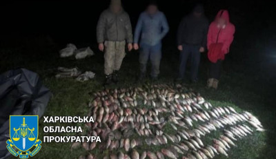 Засуджено браконьєра, який незаконно виловив риби суму понад пів мільйона гривень