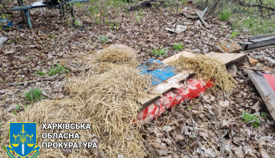 Житель Харківщини вбив знайомого свого сина, замотав тіло у ковдру та сховав на території садового товариства