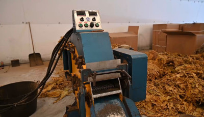 Детінізація тютюнового ринку: у порушників вилучено продукції на 30 млн грн