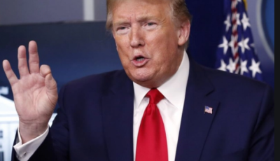 Трамп подписал указ об остановке выдачи грин-карт в США  