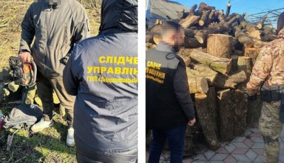 На Дніпропетровщині учасники організованої групи незаконно нарубали лісу на ₴2 млн
