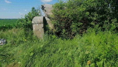 В Житомирской области 13-летний мальчик застрелился из винтовки