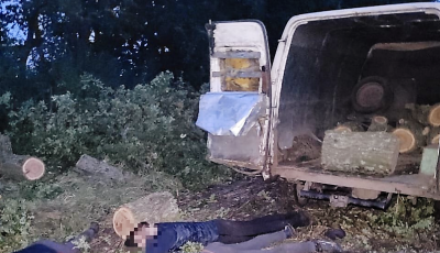 Незаконно вирубували дерева: у Новому Бузі затримано злочинну групу «чорних лісорубів» 