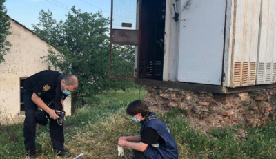 В Одесской области пятилетнего мальчика убило током в трансформаторной будке