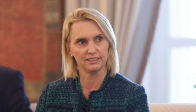 Експосол США в Україні Брінк балотуватиметься до Конгресу